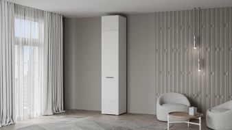 Шкаф распашной Декарт 7 BMS