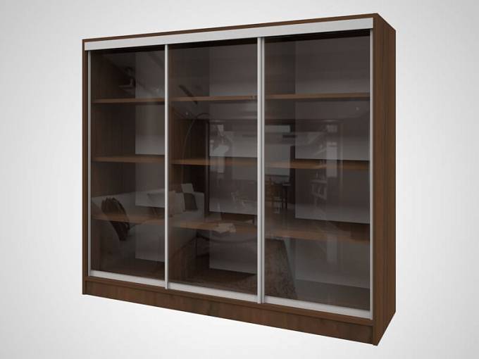 Книжный шкаф купе Дижон 2М BMS