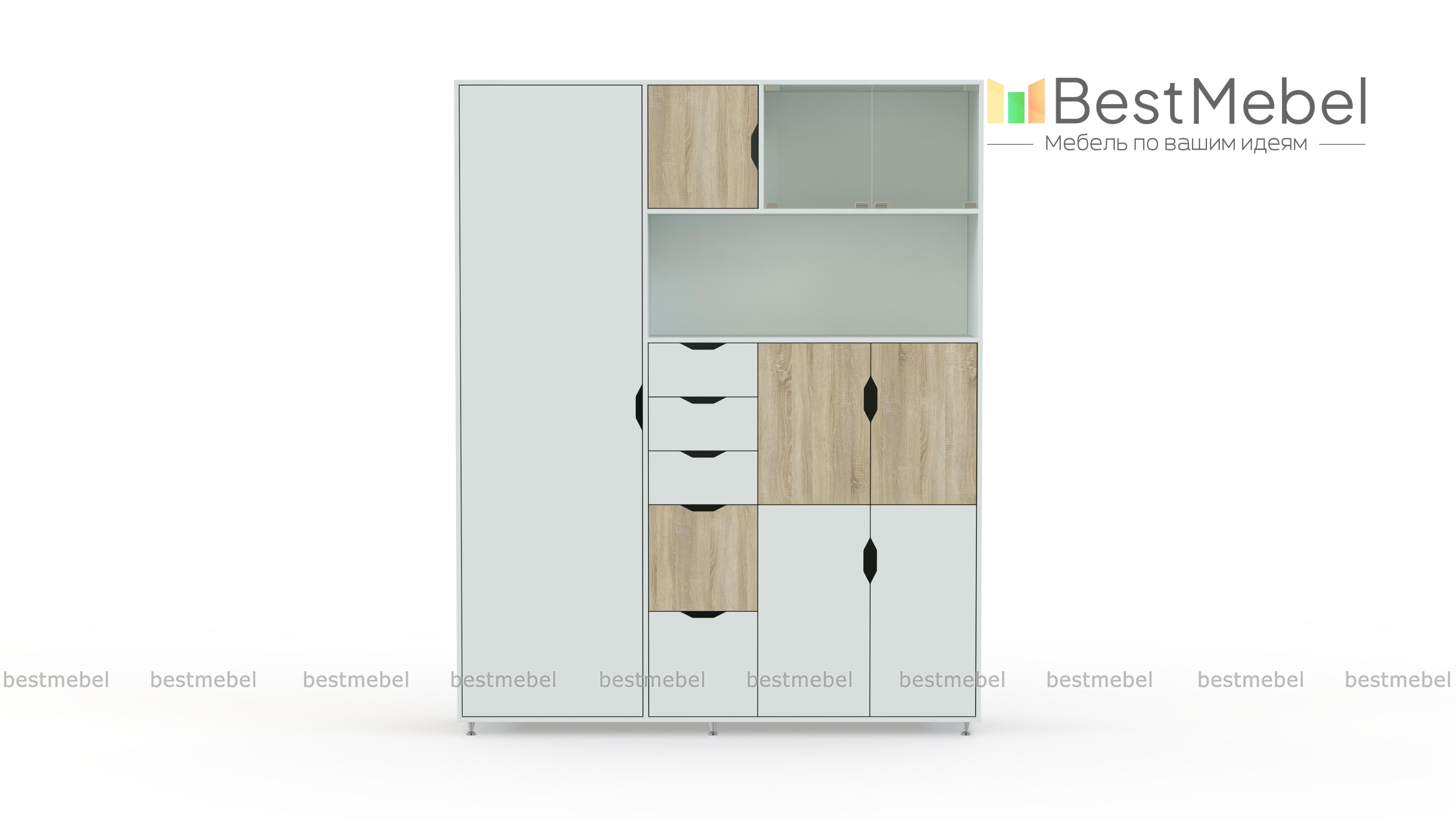 Шкаф комбинированный Авгий BMS - Фото